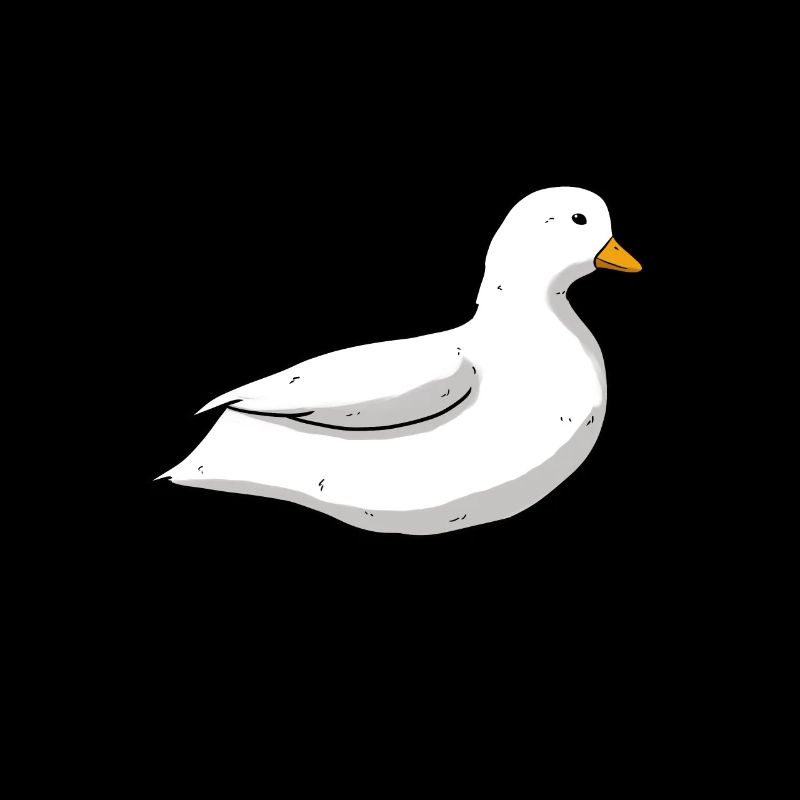 Canard nain