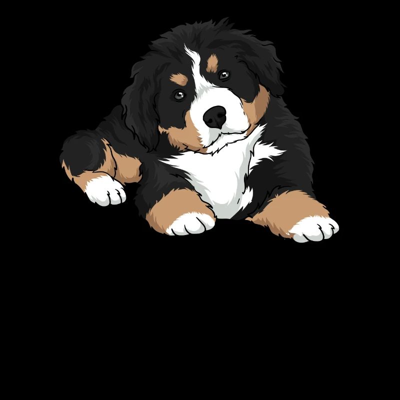Chiot Bouvier Bernois