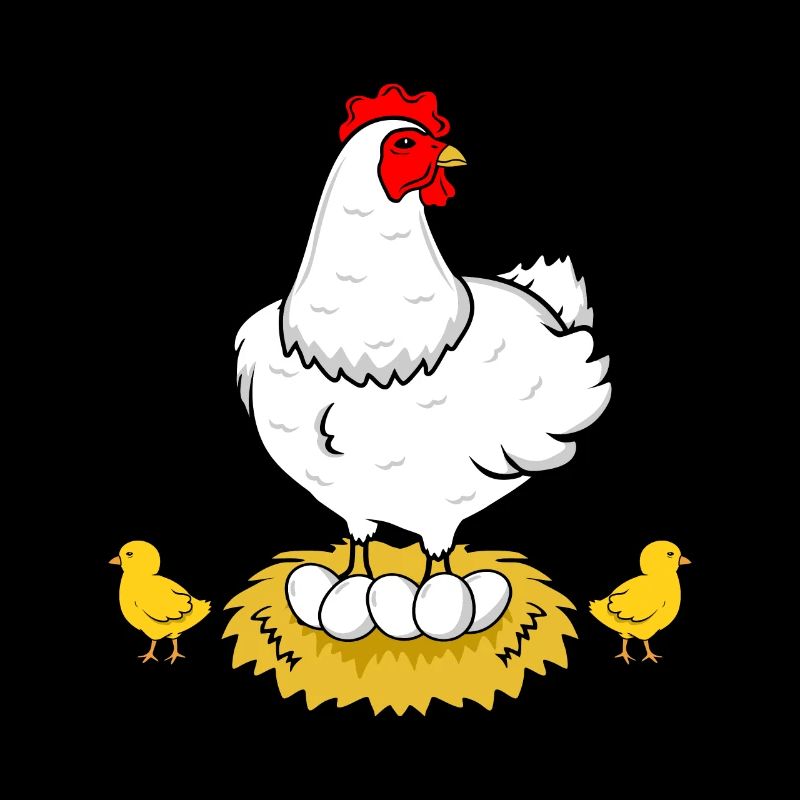 Œufs de coq de poule de poulet