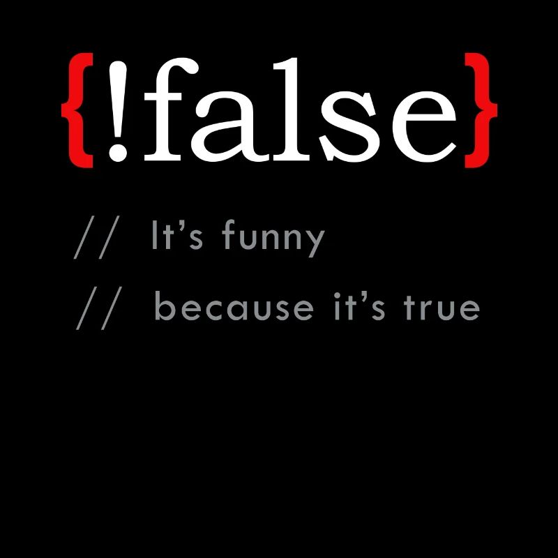 False It’s Funny Because It's True Funny Programmi