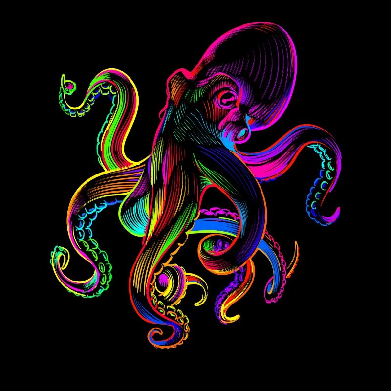 octopus octopuses funny colorfull