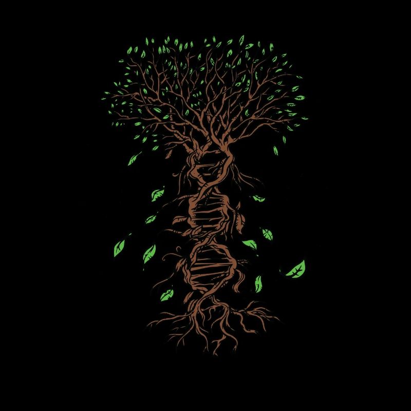 DNA Tree Life Science Biology Environment -