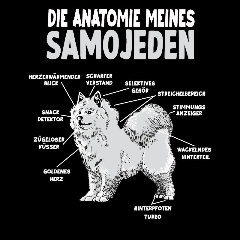 Samojede Anatomie Witziges Hundehalter Gassi