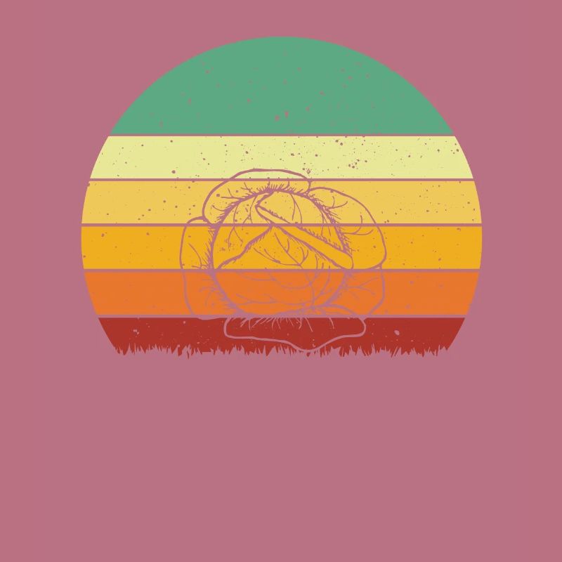 Cabbage