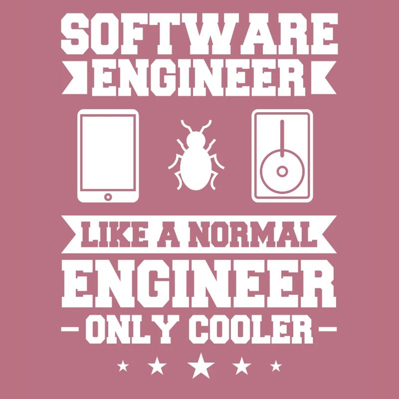 Software Engineering Software Engineering Engineer