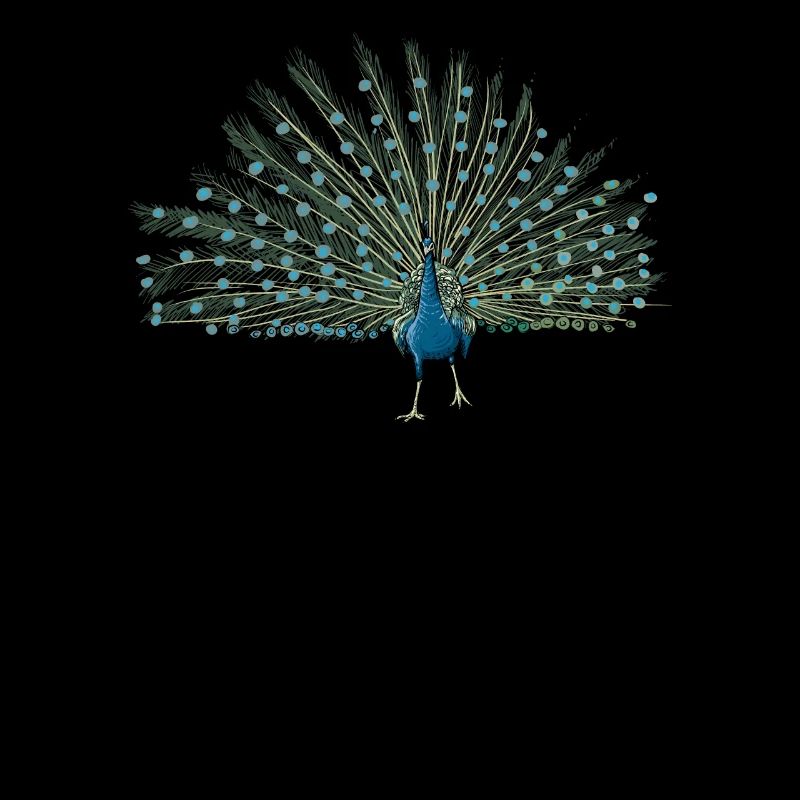 Peacock I Peacock Eye Motif with Peacock Feather