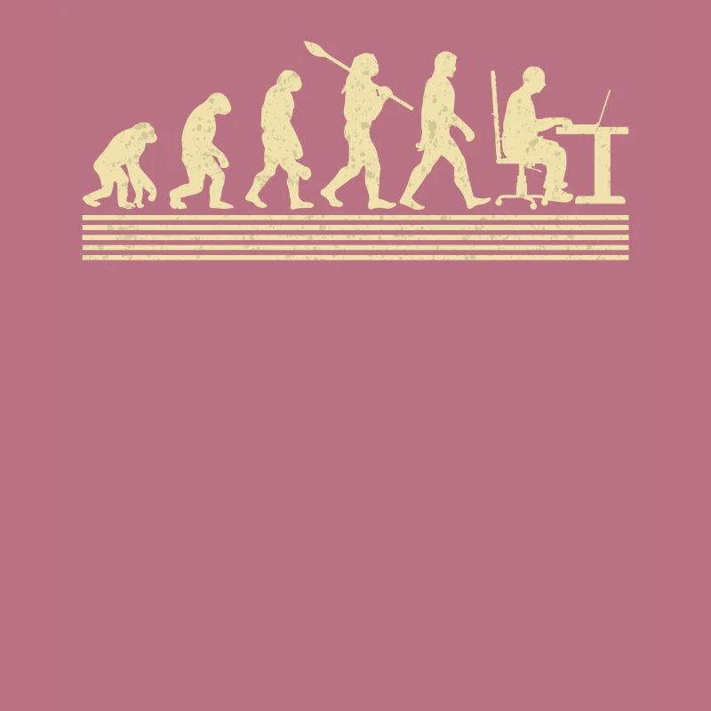 Software-entwickler-evolution