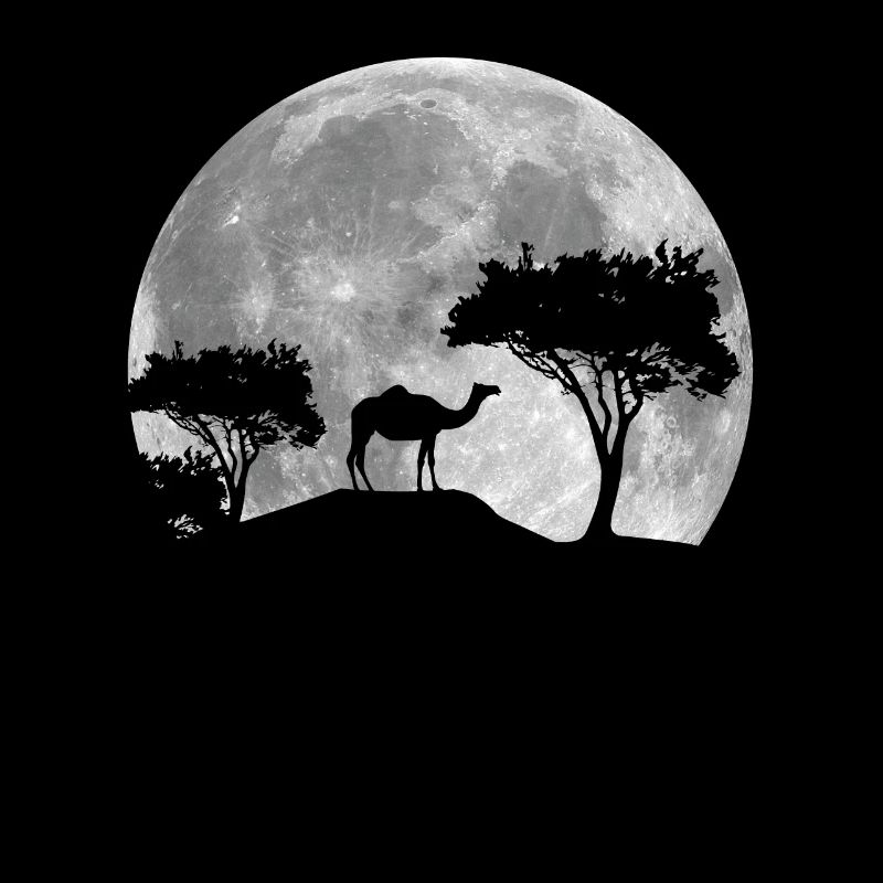 Camel At Night