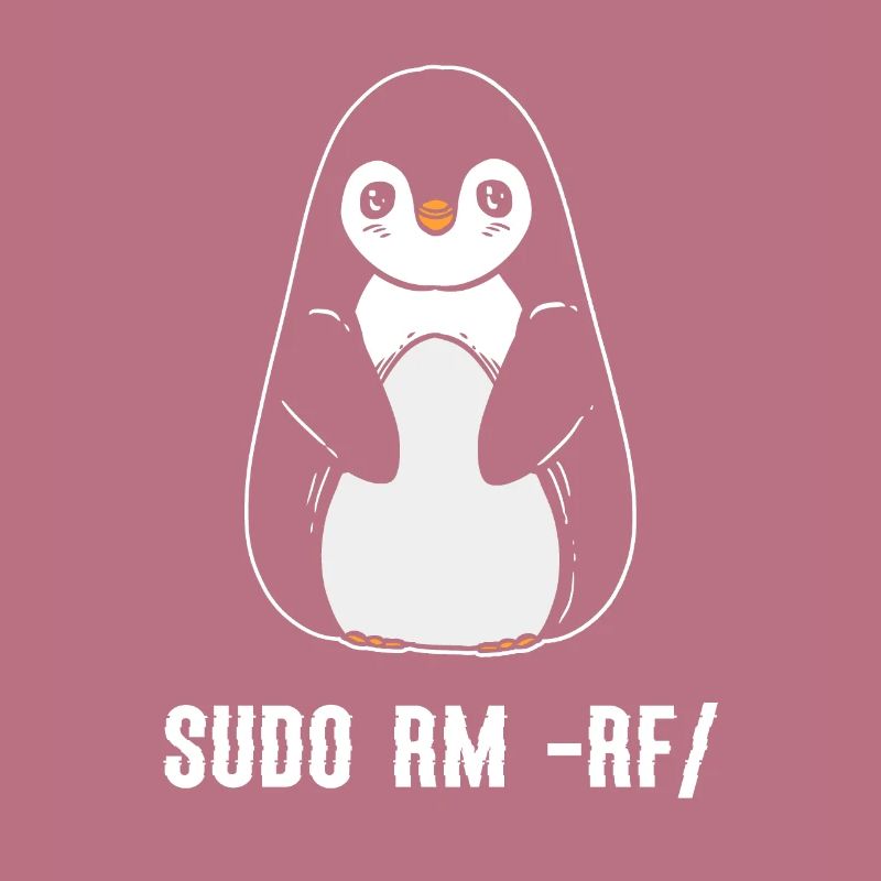 sudo rm rf / Linux Computer Programmer