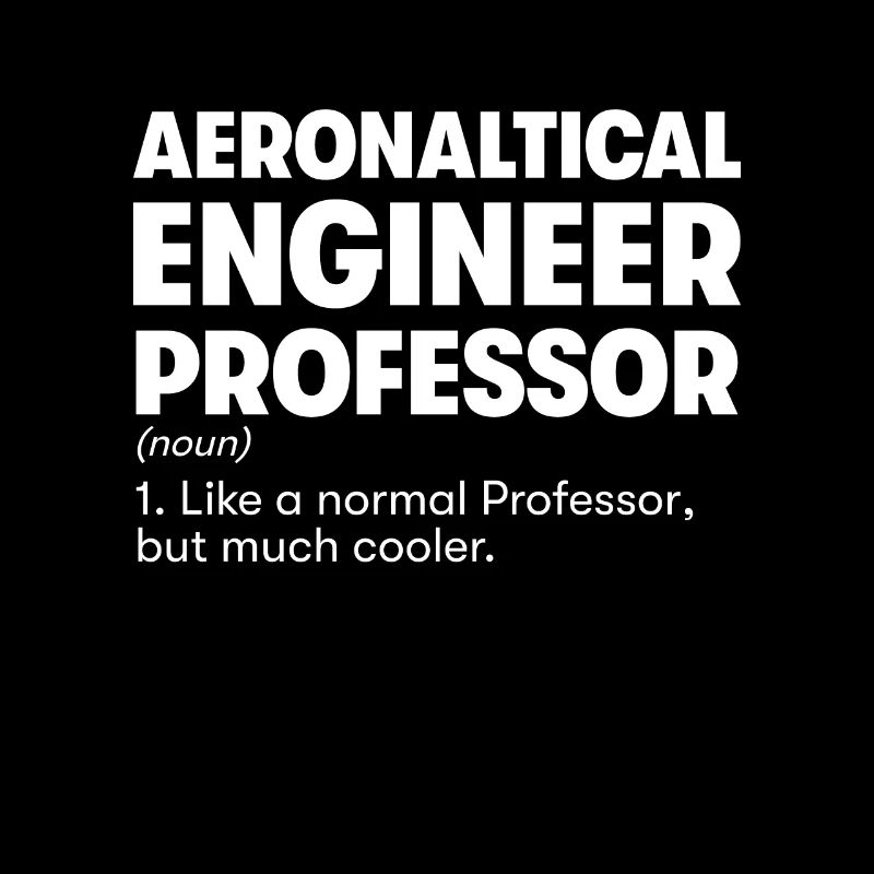 Professor für Luftfahrttechnik