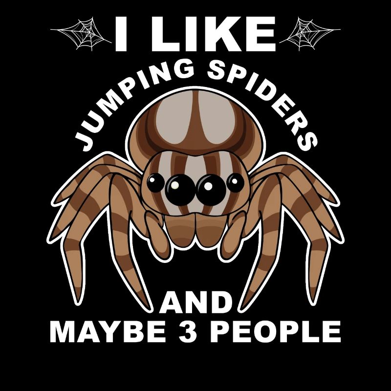Dicton Jumping Spider