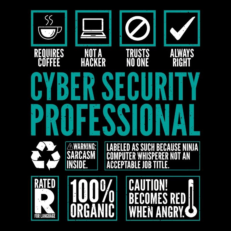 Cyber Security Professional Fakten Coding Hacker