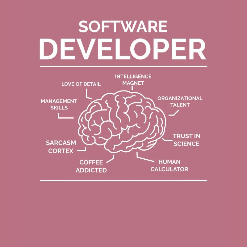 Software Developer