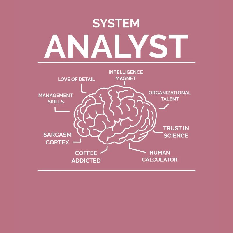 Analyste de systèmes