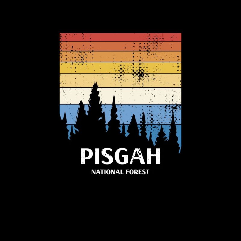 Forêt nationale de Pisgah