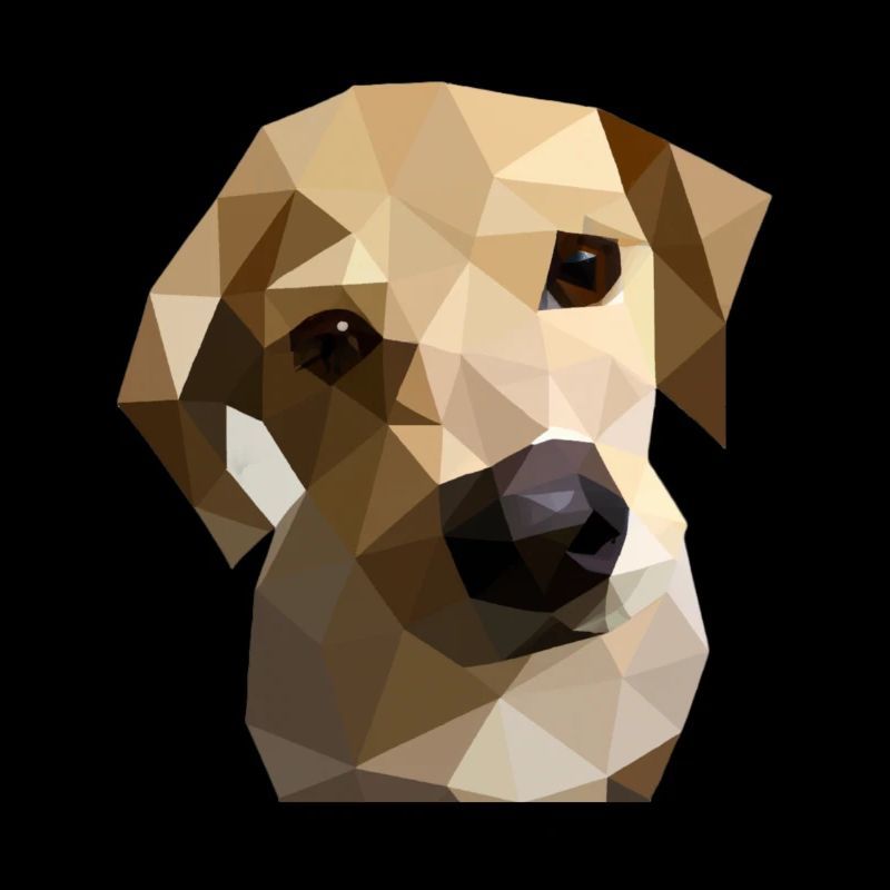 Low Poly Labrador Dog