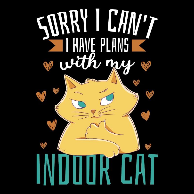 J’ai des projets avec mon chat d’intérieur