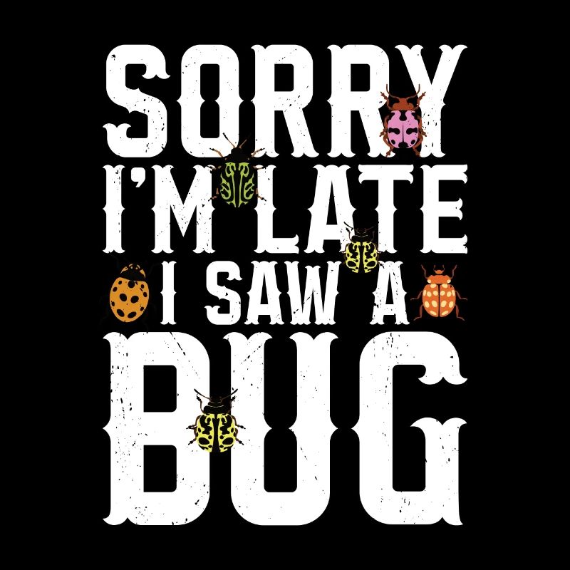 Insecte