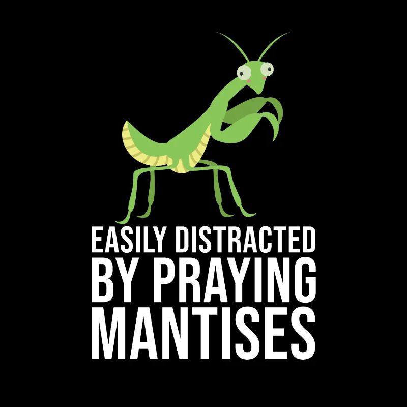 Praying Mantis Insect Pet Lovers