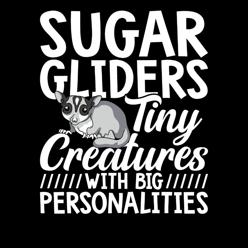 Sugar Gliders Tiny Creatures Sugar Glider Owner