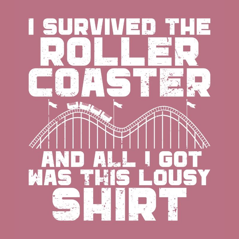 Roller Coaster Amusement Park Roller Coaster Ride