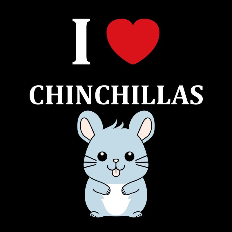 Petit chinchilla mignon