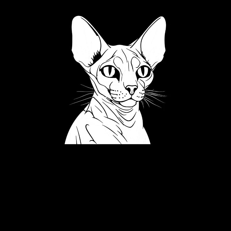 Chat Sphynx