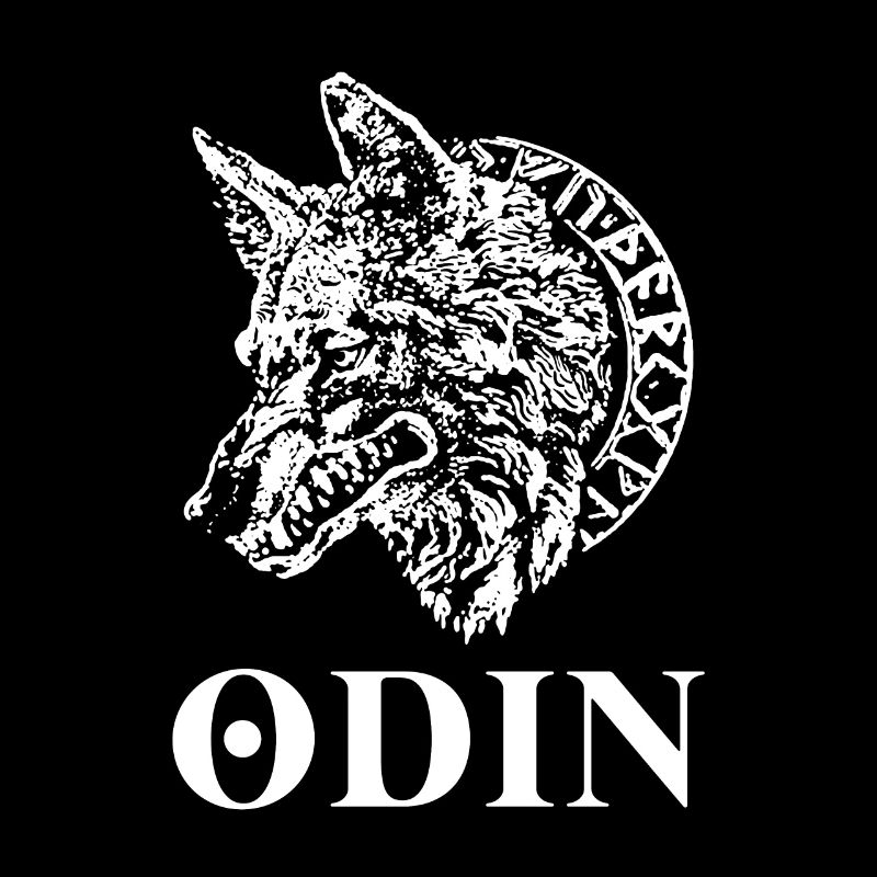 Viking Tshirt Viking Valhalla Valhalla God Odin