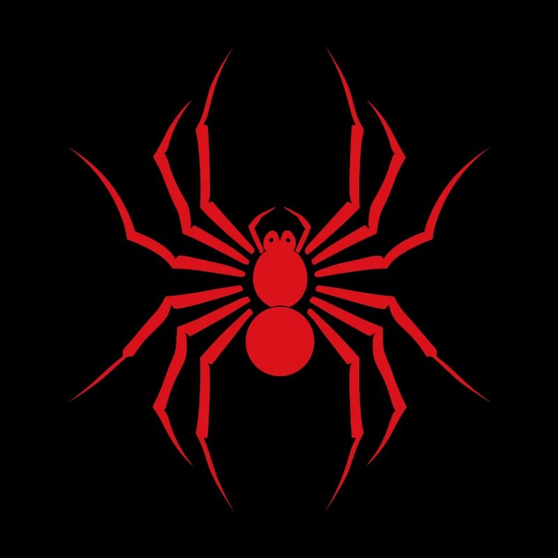 Spinne