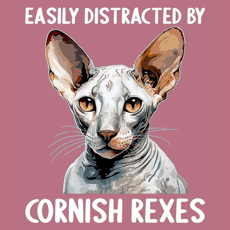 Cornish Rex Easily distracted by Cornish Rexes