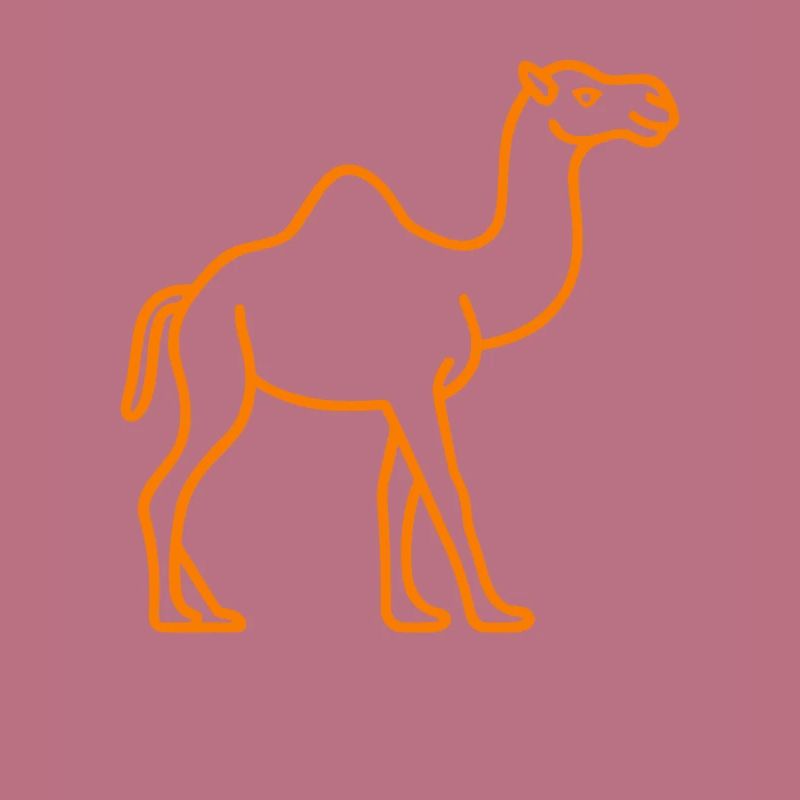 Dromadaire