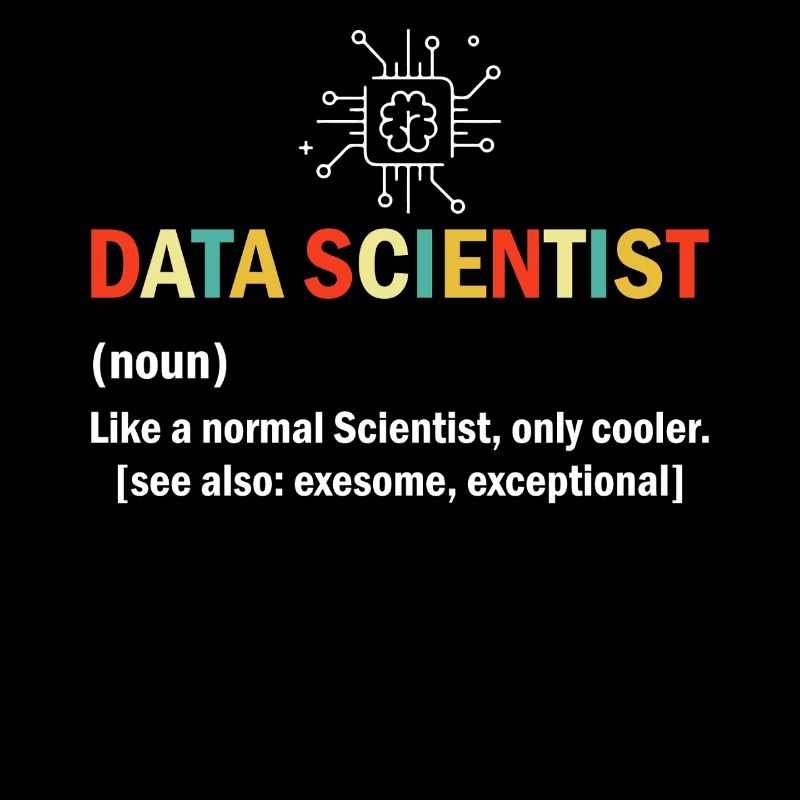 Data Scientist Funny Definition Spreadsheet Data