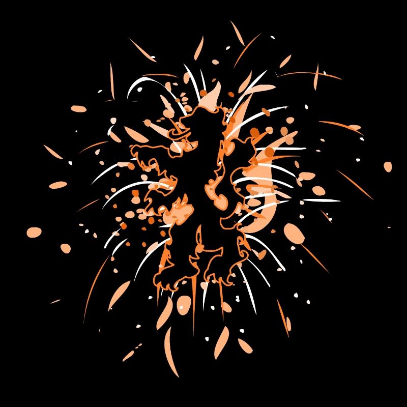 lion pays bas feux d'artifice