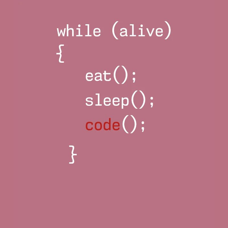 Administrateur Coding Geek Programmeur