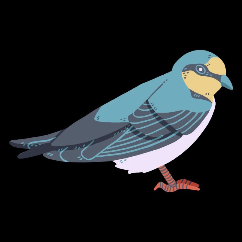 Swallow