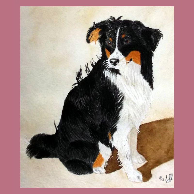 Sitzender Aussie Nanouk
