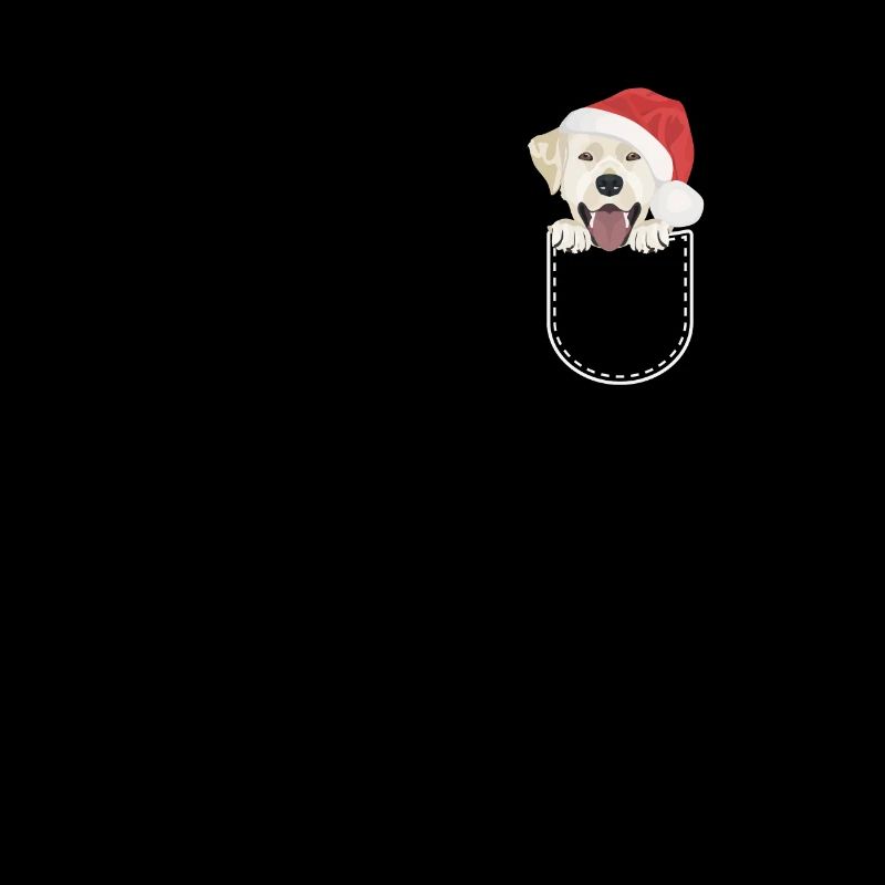 Joyeux Noël Labrador