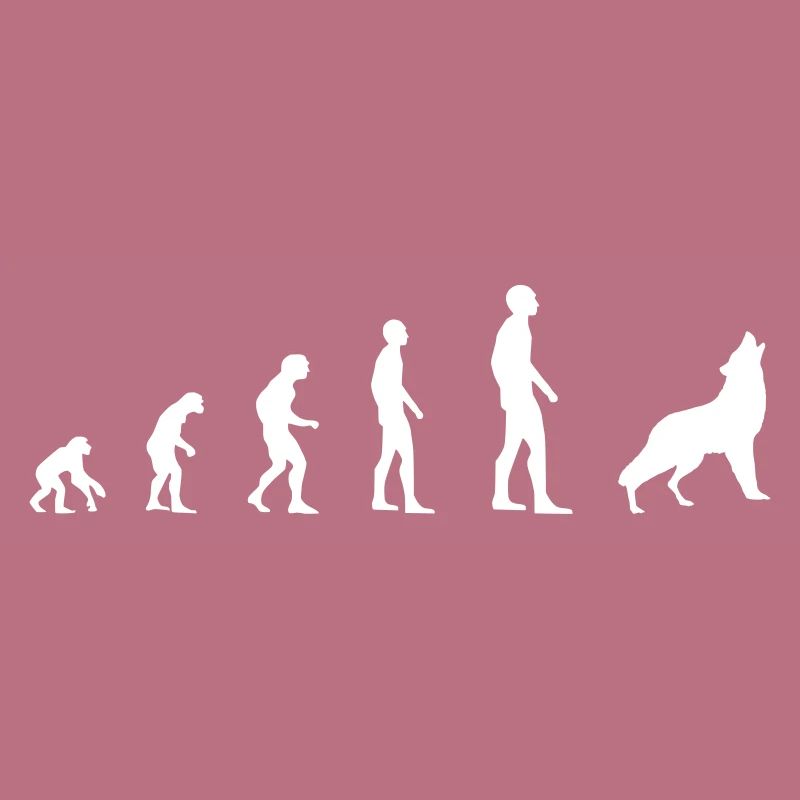 Wolf – Evolution