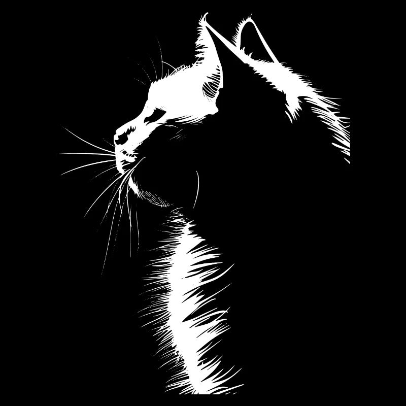 Chat, Motif De Chat