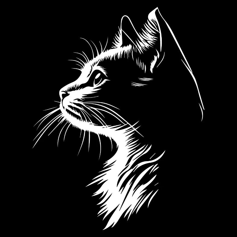 Silhouette de chat