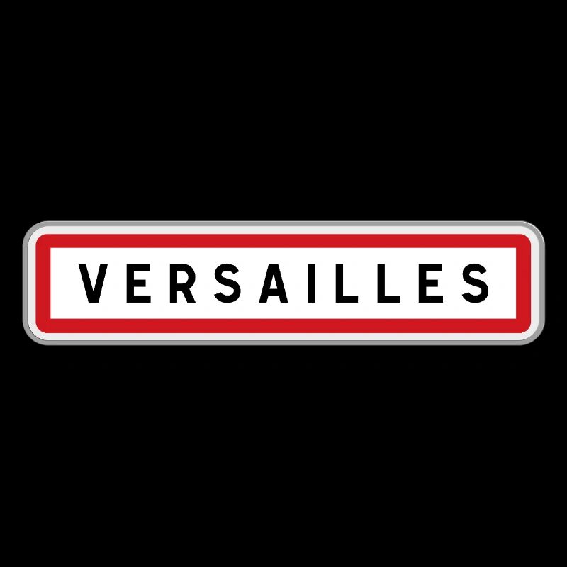 Panneau central de Versailles, Yvelines