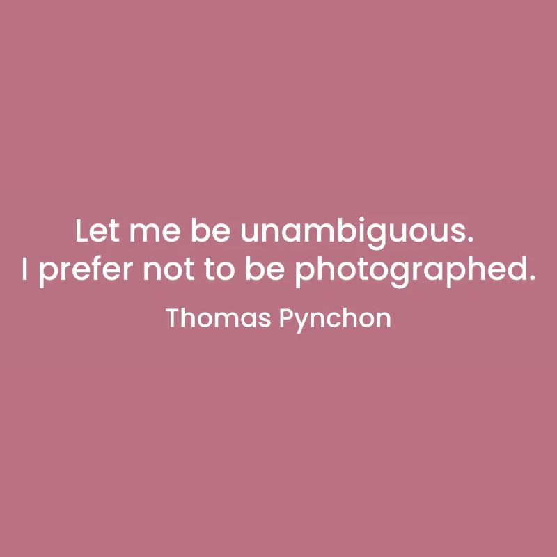 Citation de Thomas Pynchon