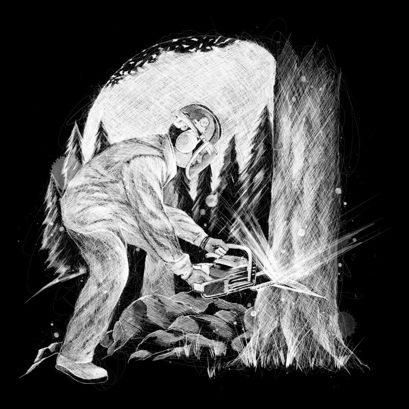 Récolte de bois avec un copain forestier