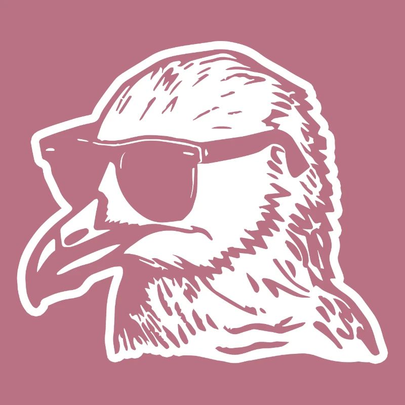 Möwe