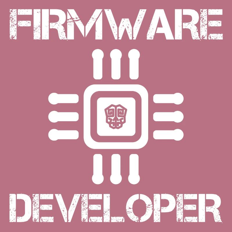 Firmware developer