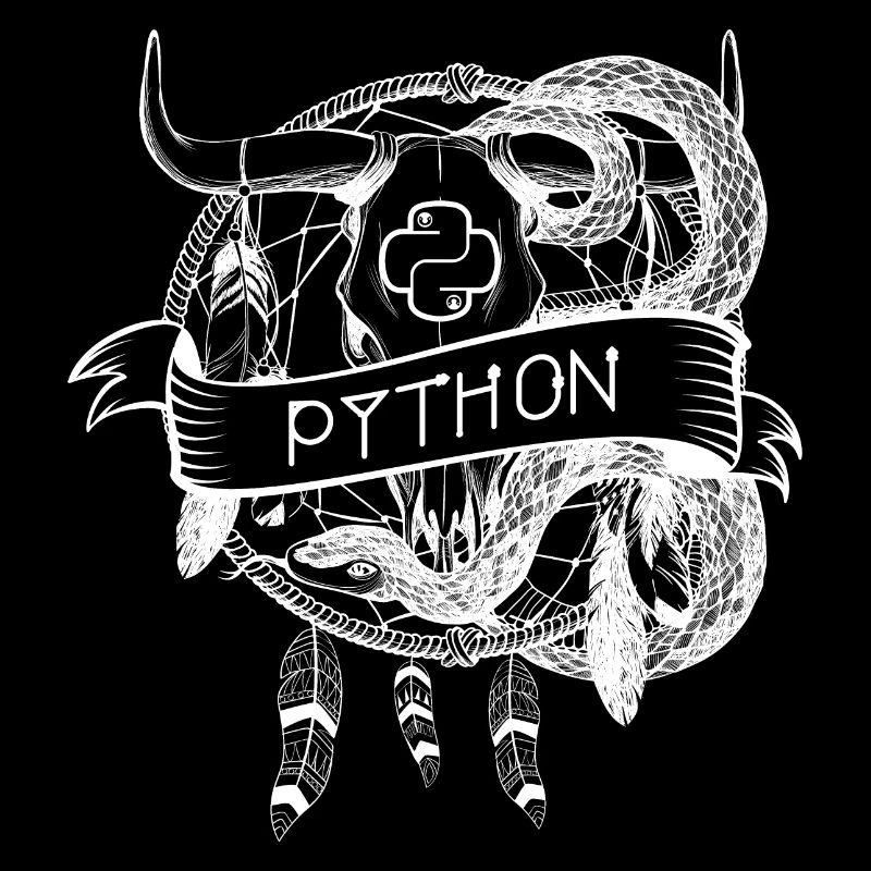 technologie de langage de programmation python
