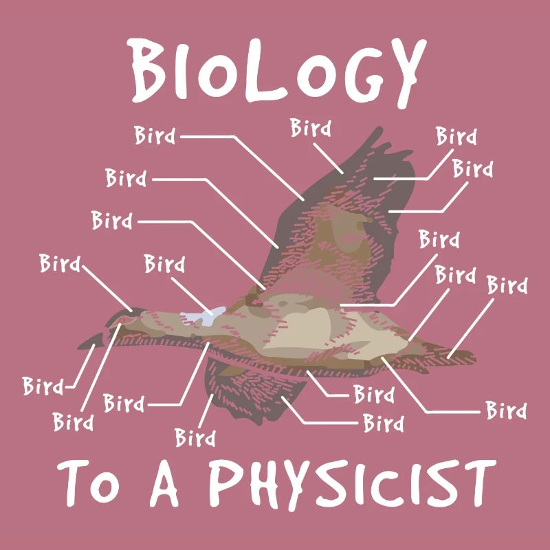 Physik Experte