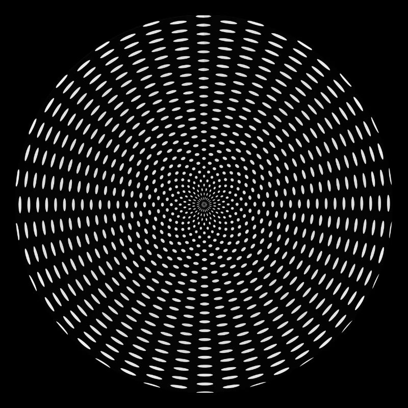 Optical Illusion Tunnel Gift