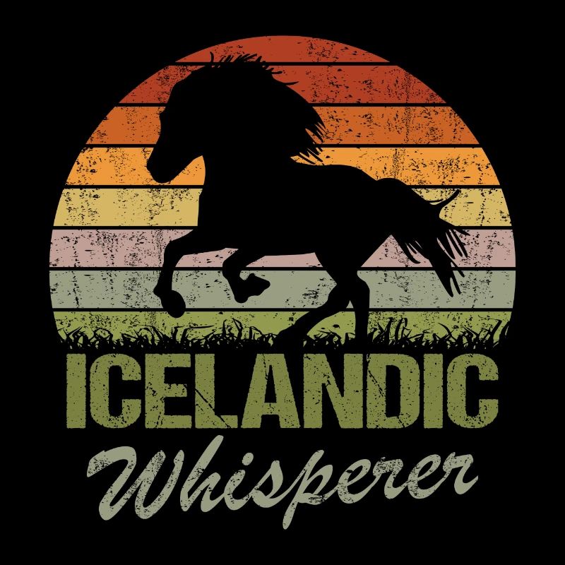 Islandpferd Tölt Isländer Flüsterer