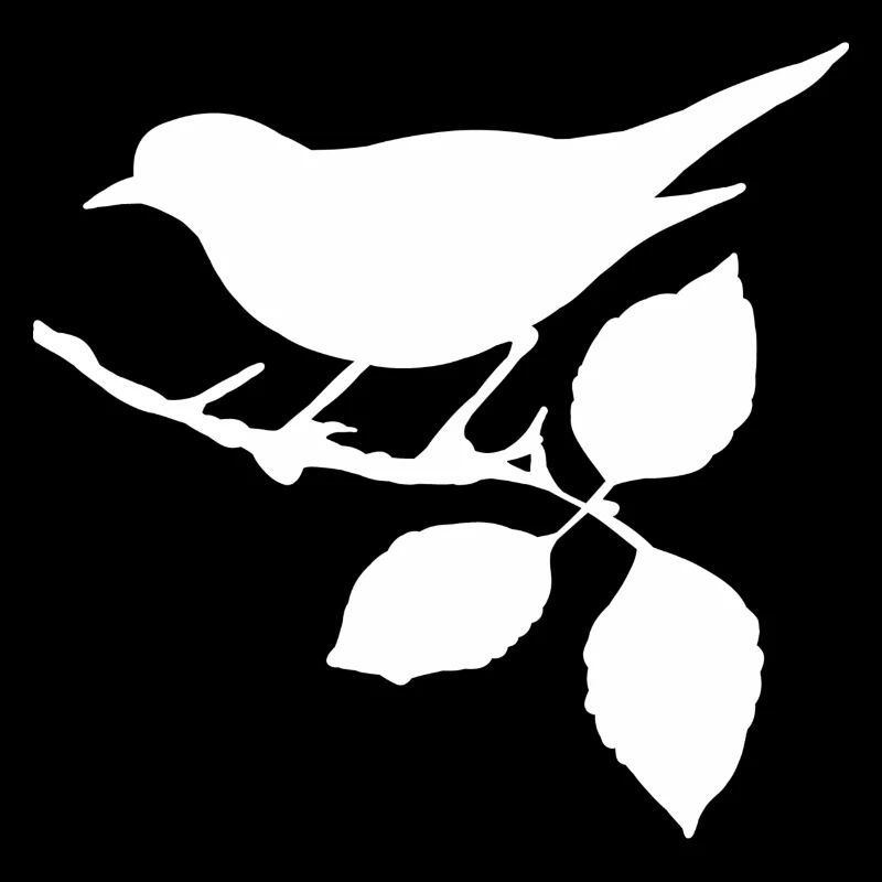 Bird Thrush Sparrow Buzzard Raven Falcon Blackbird